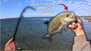 FISHING IN PARADISE WITH LURES(crazy bust up) screenshot 5
