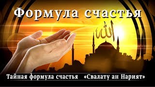 Тайная формула счастья 