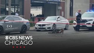 Chicago Department of Transportation employee struck and killed while riding bike