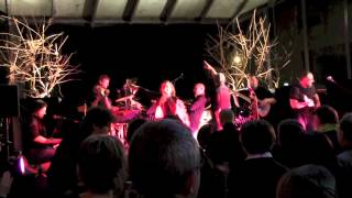 Tribute to Stevie Wonder