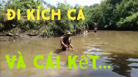 ●nhịp sống tây nguyên (p9) bắt cá suối mùa khô