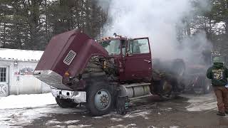 Abandoned 1983 Ford LTL 9000 - Big Cam NTC400 Will it start?