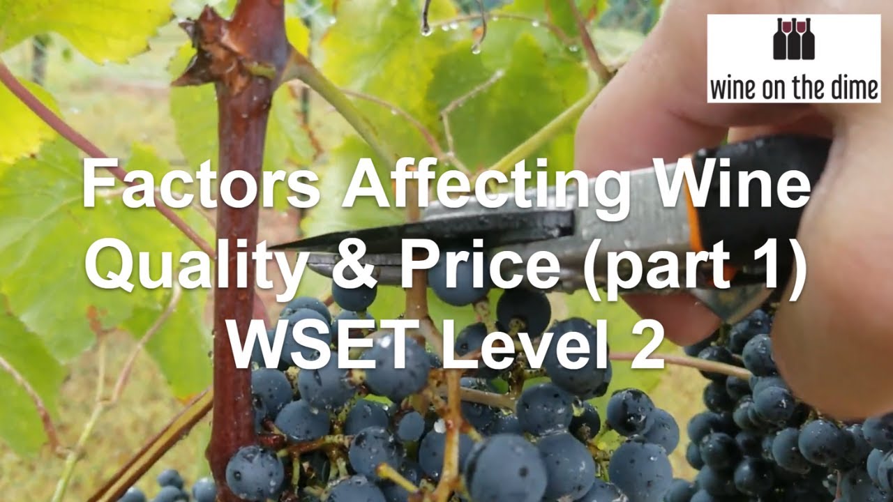 WSET Quiz 3:  Factors Affecting Wine Quality and Price (part 1)