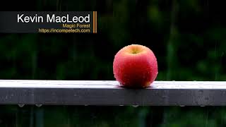 Kevin Macleod  -  Magic Forest