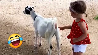 TRY NOT TO LAUGH 🤣 Best Funny Videos Compilation 😂😁😆 Memes PART 14