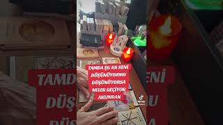 Tamda Şu Anda Seni̇ Düşünüyormu Düşünüyorsa Neler Geçi̇yor Aklindan