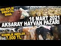 16 MART 2021 AKSARAY CANLI HAYVAN PAZARI #HAYVANPAZARI