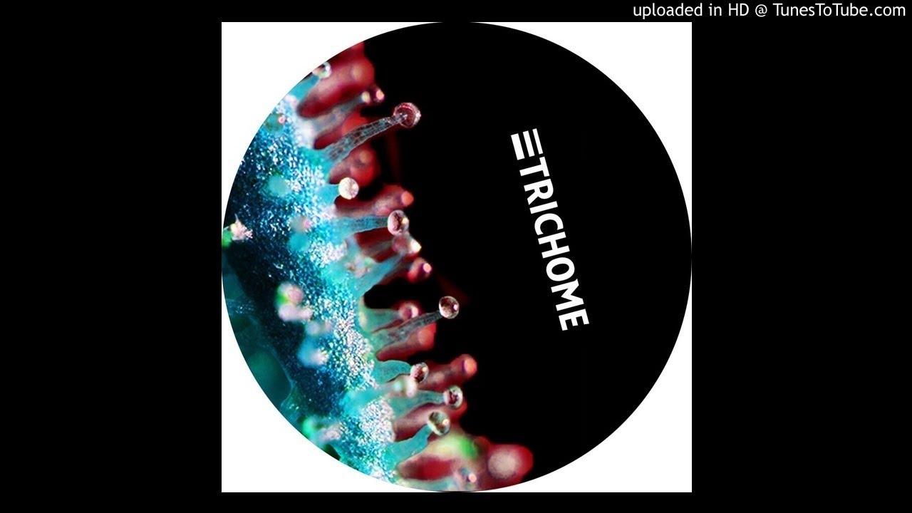 Solomon & Chicaiza - Bending Gravity [TCM002]