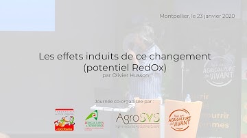 RedOx potential and plant health, by Olivier Husson