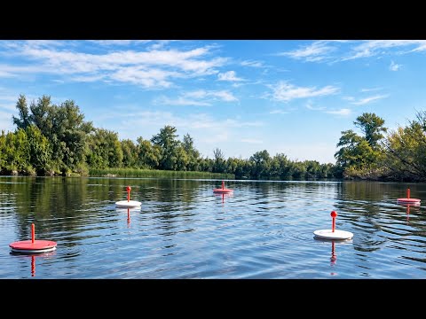 AUTOMATIC TRAP - LIVE BAIT RIGS CATCH CATFISH!?! HOW IS THIS POSSIBLE?!? Fishing in Astrakhan 2026.