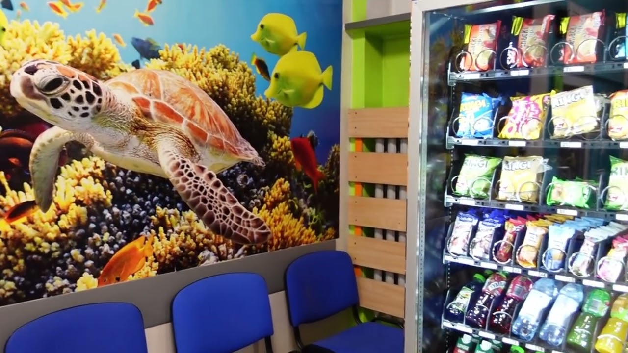 wirtualny spacer   parter