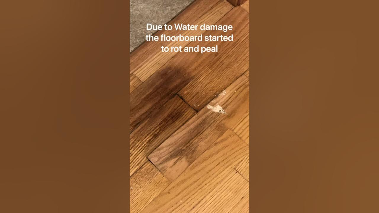 How to Replace floorboards? YouTube