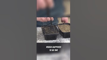 Unlocking the Growth Potential of Biochar in Soil: A Game-Changing Experiment!