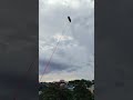 Flag kite🪁👌