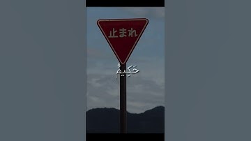 تلاوة خاشعة للقرأن الكريم