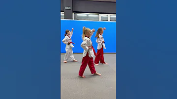 Poomsae 1 TAEGEUK 1JANG Taekwondo Poomsae Kicks 