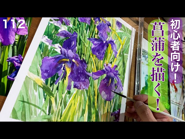 112)live配信/初心者向け！菖蒲を描く - YouTube