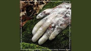 Yontoo How To Get Rid