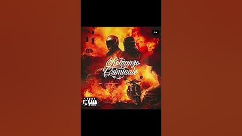 Light x Hawk - Romanzo Criminale-(Official Music Audio)