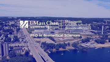 Discover the PhD in Biomedical Sciences Curriculum