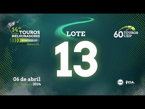 LOTE 13 V7090521 - 14º Leilão de Touros Melhoradores Nelore OL - Edição Virtual