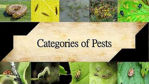 Plants Pests and Diseases