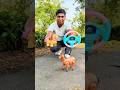 Duita Remote Rc Walking Horse Toys Unboxing And Testing 👻