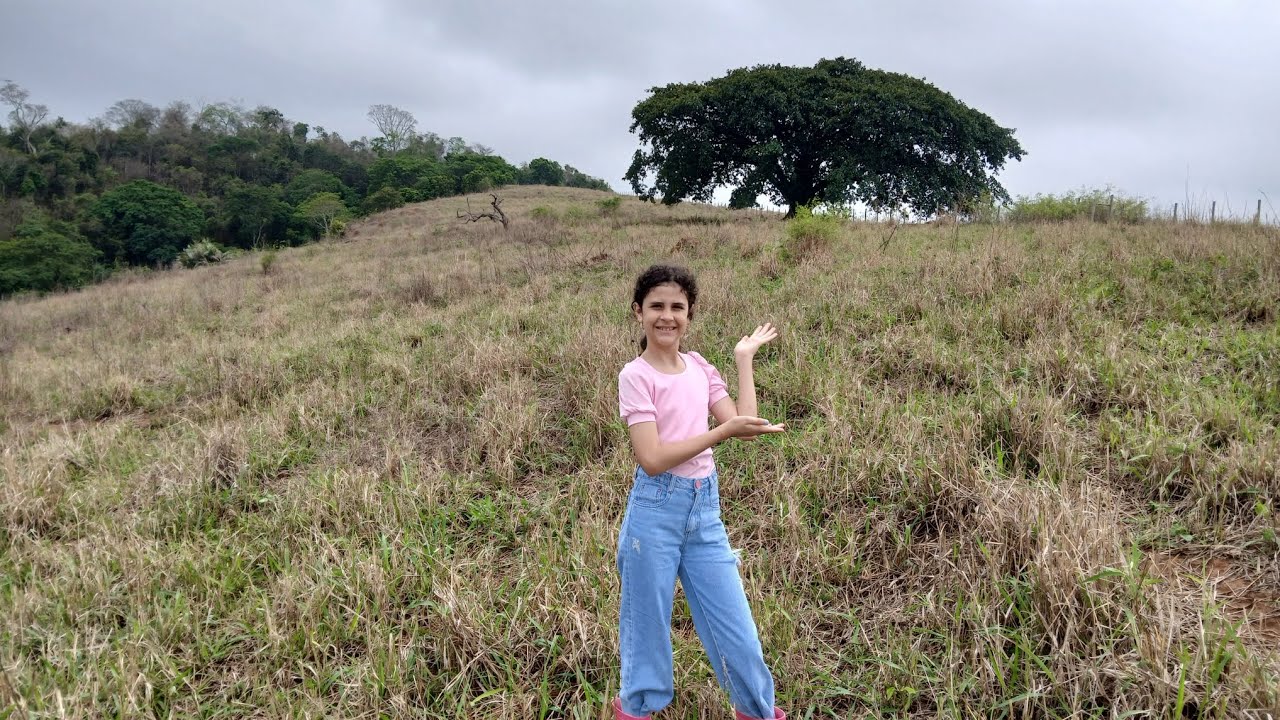 Bora subir  as trilhas  para a árvore 🌳  Gradona