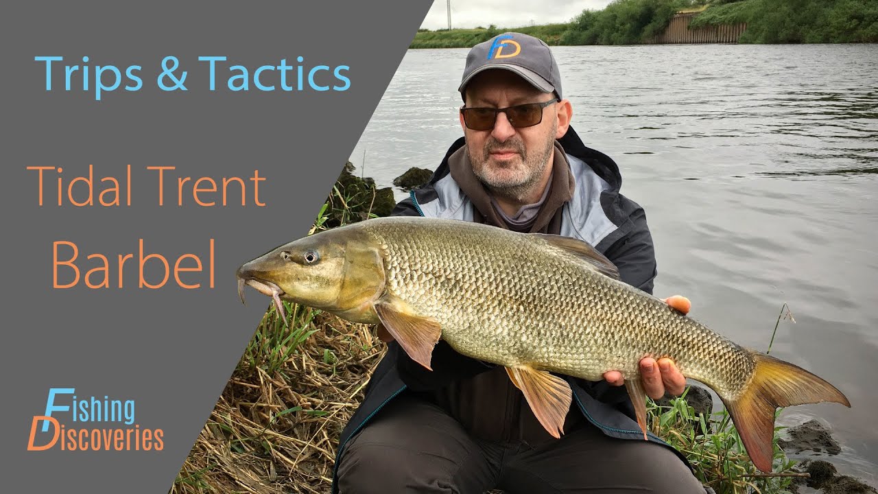 Barbel Fishing: FD's Ultimate Guide to Rigs, Tactics, Baits & Gear