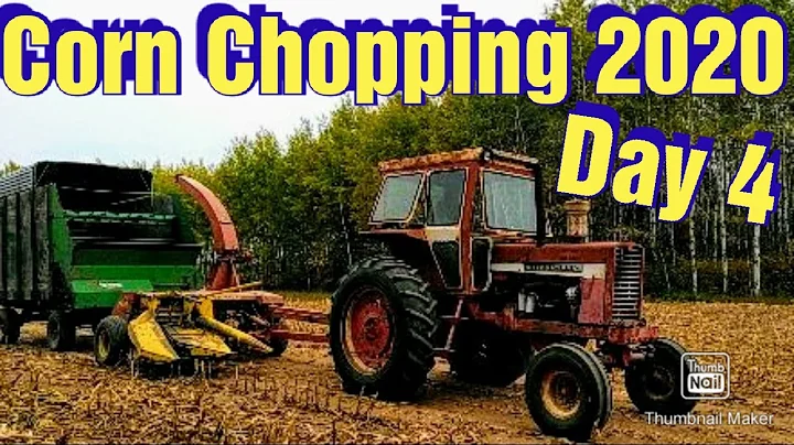 Chopping Corn 2020: Day 4