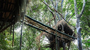 Primitive Technology, Make bridge between two tree house in the forest