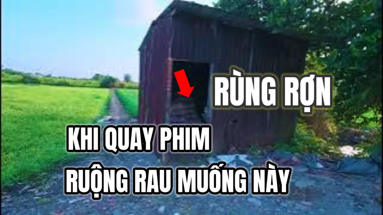 RÙNG RỢN HỒI HỘP KHI QUAY PHIM. RAU MUỐNG BÌNH MỸ CỦ CHI HCM