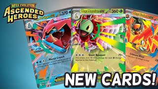Mega Meganium EX is INSANE