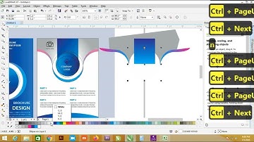 Simple Brochure Design In Coreldraw | CoreldrawFever Studio
