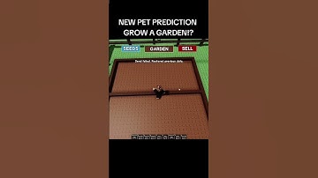 script on comment section.