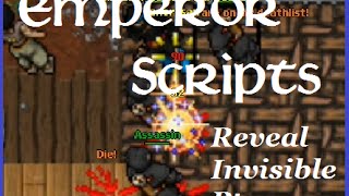 Elfbot Tutorial - Reveal Invisible Monsters! [2016] Pt2 - on the side (de perto)