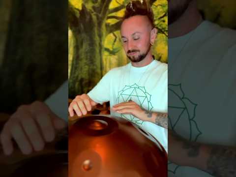 Handpan Music Warren Shanti E Amara
