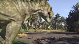 Lucu orang super joget bambung hideung