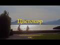 Как красить видео новичку | Dehancer