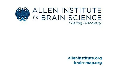 Allen Institute for Brain Science