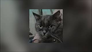 Download Lagu Mabagal - Daniel Padilla \u0026 Moira Dela Torre (sped up) tiktok full version MP3 Download Lagu Mabagal - Daniel Padilla \u0026 Moira Dela Torre (sped up) tiktok full version MP3
