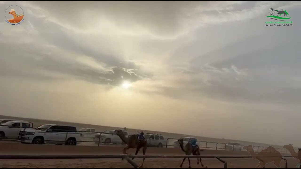 الشوط الاول بكار لقايا / سيوف عزم بن شايح العنزي