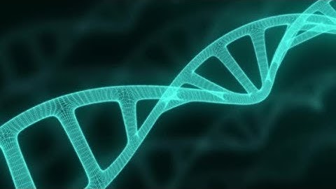 4K Animated Motion Graphic Video Stock | DNA Light Particle Wireframe Animation By Under21 Studio