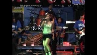 Brandal Tua  -  Ririn - PANTURA 120507