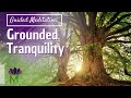 Grounding meditation to connect with natures wisdom  mindful movement