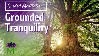 Grounding Meditation to Connect with Nature's Wisdom | Mindful Movement screenshot 1