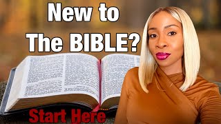 6 Easy-to-Read Bible Versions for Beginners | Which Bible Should You Read