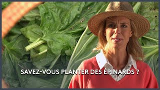 Le potager autonome nantais - Les Potagers de Julie