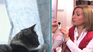 Investigaci&oacute;n para la salud