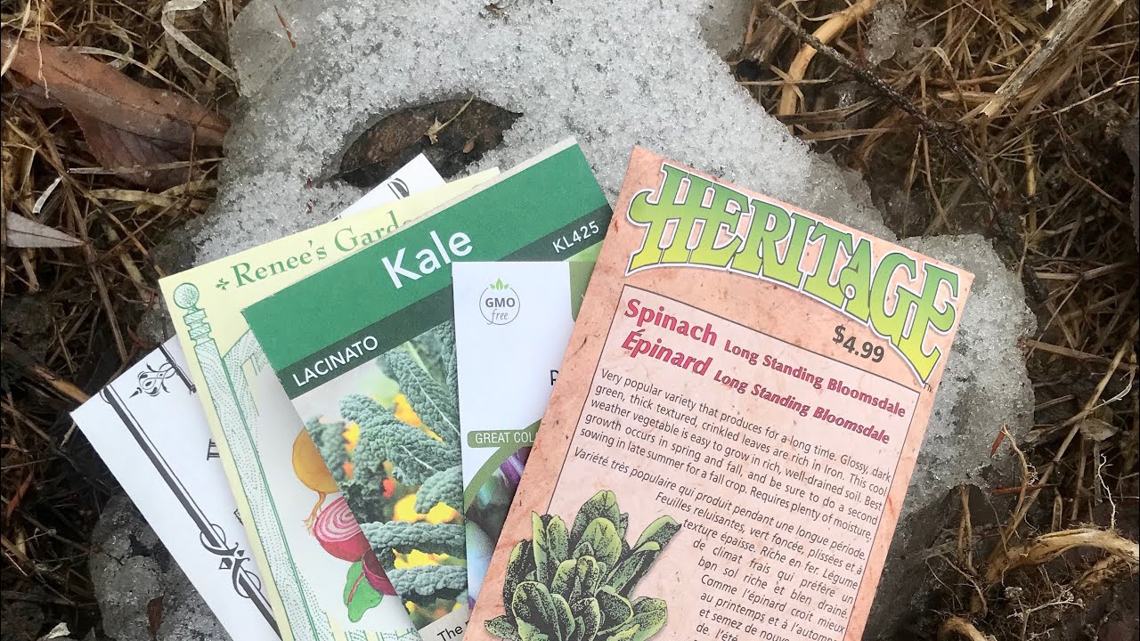 Will Frozen Seeds Grow? YouTube